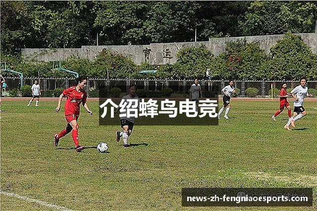 介绍蜂鸟电竞